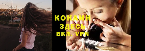 стаф Майский