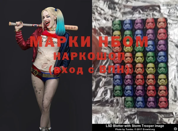 стаф Майский