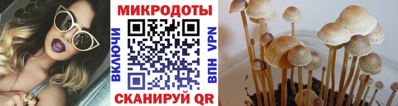 Псилоцибиновые грибы мицелий  Зуевка 